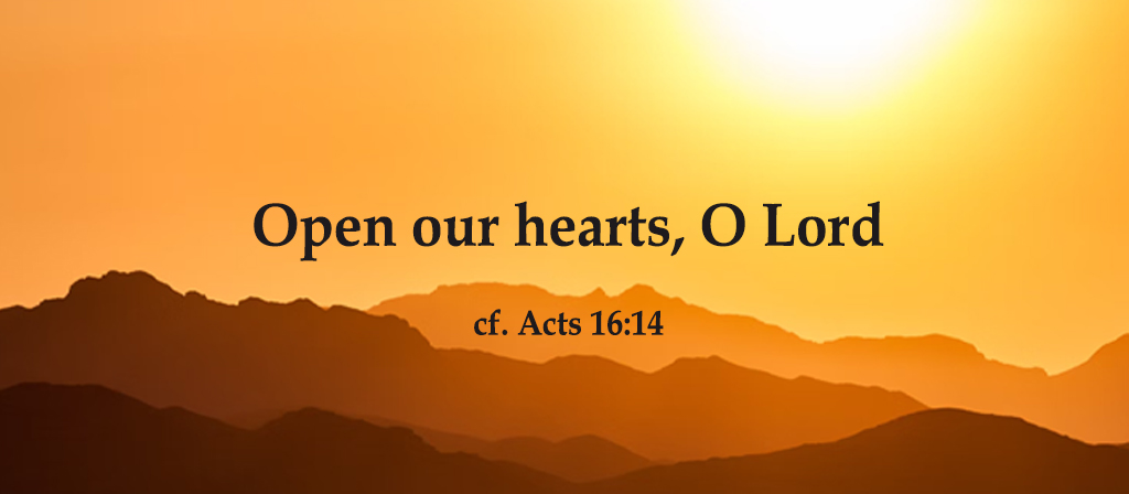 16th Sunday in Ordinary Time