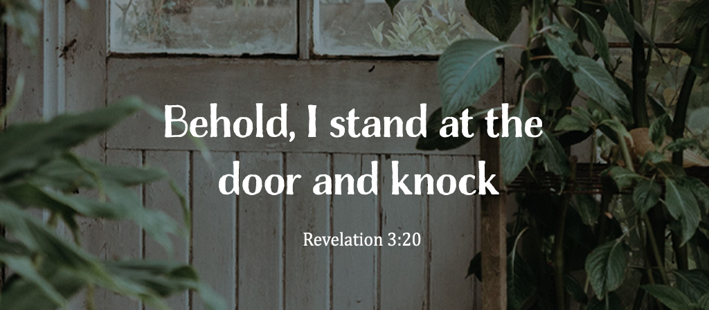 16th Sunday in Ordinary Time