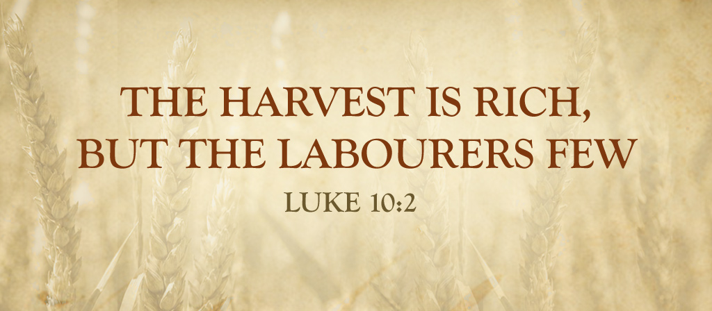 14th Sunday in Ordinary Time