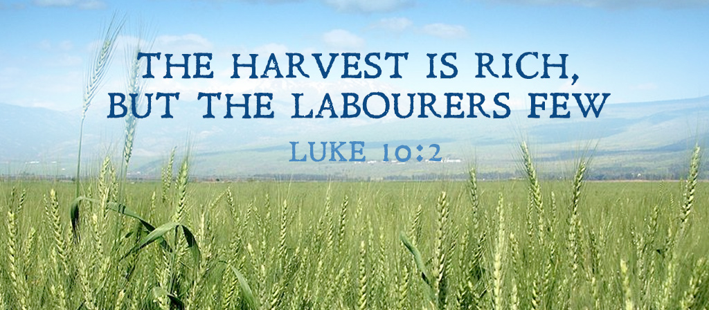 14th Sunday in Ordinary Time