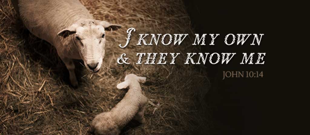 4th Sunday of Easter