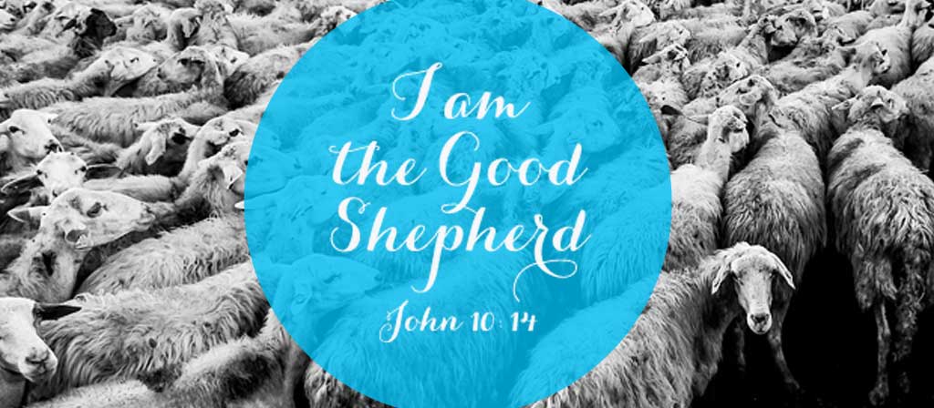 4th Sunday of Easter