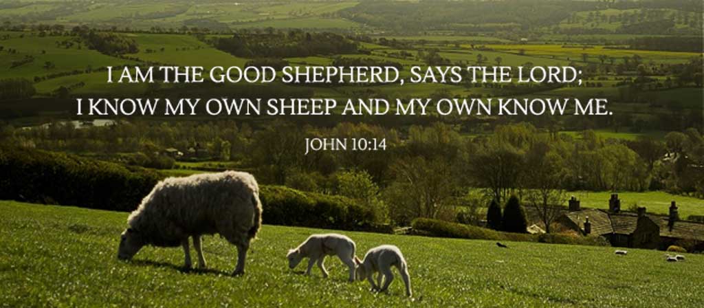 4th Sunday of Easter