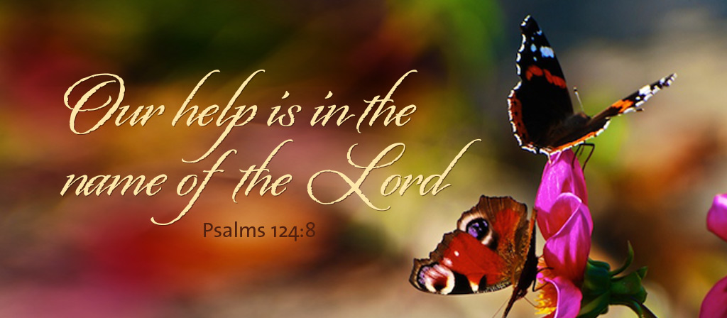 29th Sunday in Ordinary Time