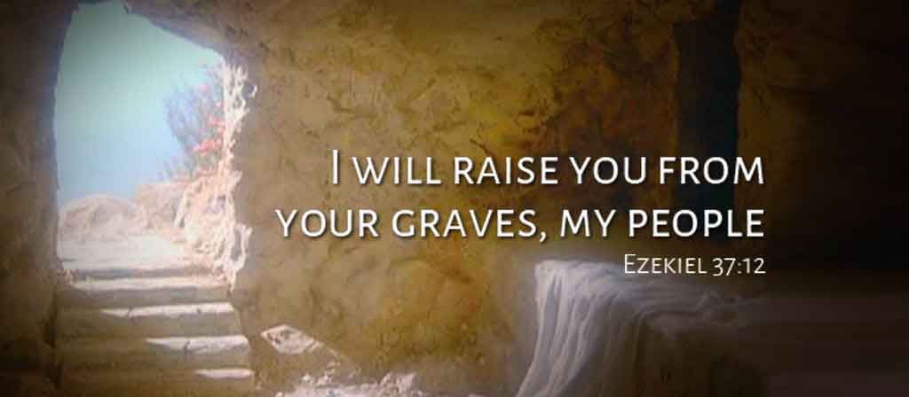 5th Sunday in Ordinary Time