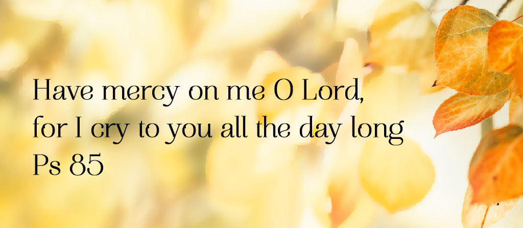 22nd Sunday in Ordinary Time