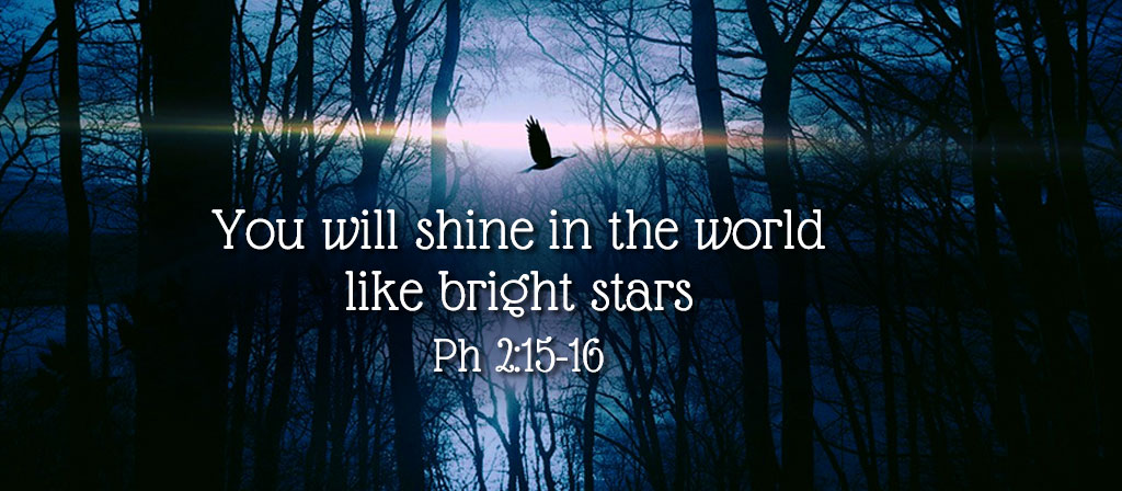 29th Sunday in Ordinary Time